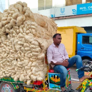 ১৫ দিনের ব্যবধনে মণে ১ হাজার টাকা কমলো পাটের দাম 