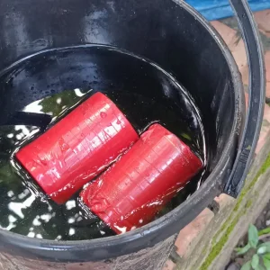 ঝিনাইদহের পুরাতন ডিসি কোর্টের সামনে ককটেল সদৃশ বস্তু