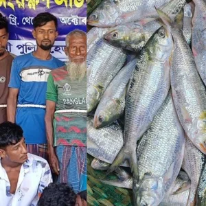 চাঁদপুরে মেঘনায় নিষেধাজ্ঞা অমান্য করে মাছ ধরা: ২৫ জেলে আটক, ৮০ কেজি ইলিশ গেল এতিমখানায়