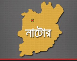 নাটোর