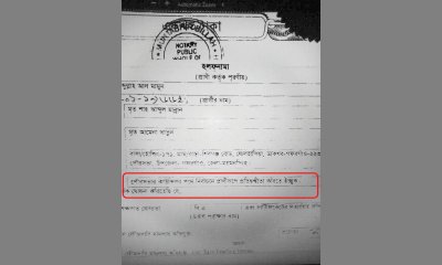 শাহ আবদুল্লাহ আল মামুনের হলফনামা 