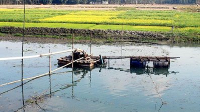 ইছামতি নদীতে চলছে অবৈধ ড্রেজিং