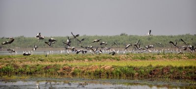 হাকালুকি