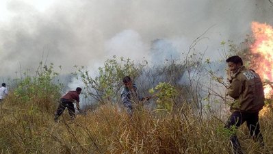 বঙ্গবন্ধু ইকোপার্কে আগুন