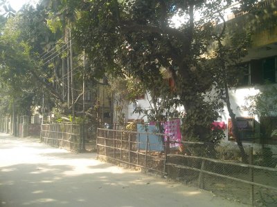 নিউকলোনি