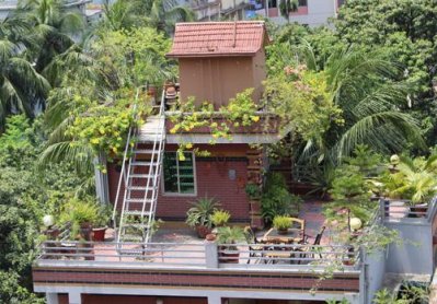 ছাদে বাগান বাধ্যতামূলক করার দাবি