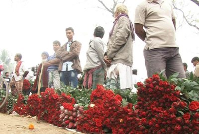 গদখালিতে ফুলের বাজার
