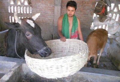 প্রকল্প