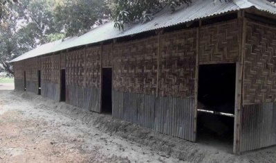 ঝুঁকিপূর্ণ ভোটকেন্দ্র, পঞ্চগড়