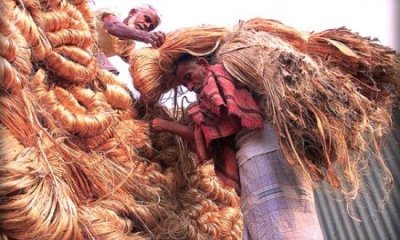 পাট সংগ্রহ