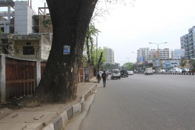 কনক্রিটে মোড়া গাছের গোড়া