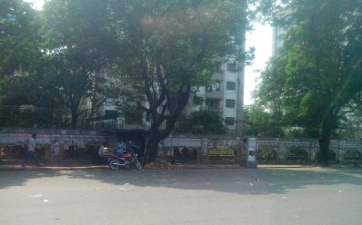 প্রত্যেকটা গাছ হেলে পড়া 