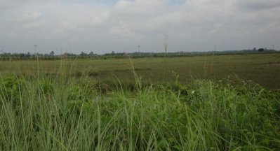 স্থলবন্দরের জন্য নির্ধারিত জায়গা