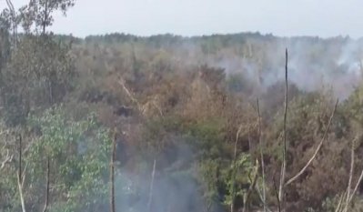 নিয়ন্ত্রণে আসেনি সুন্দরবনের আগুন