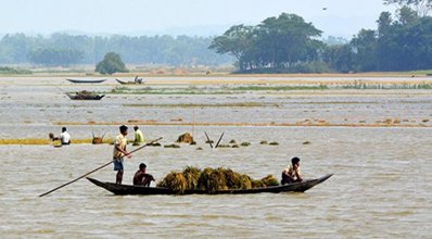 হাকালুকি-হাওরে-তলিয়ে-গেছে-ধান