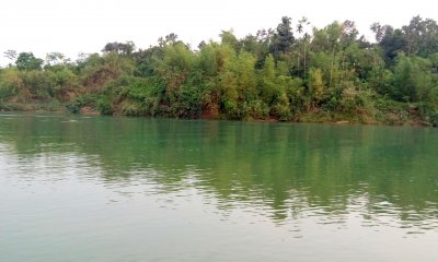 নীলের রাজ্যে সবুজের ছায়া 