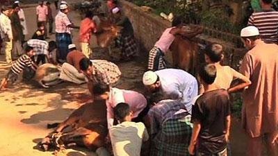 পশু কোরবানি