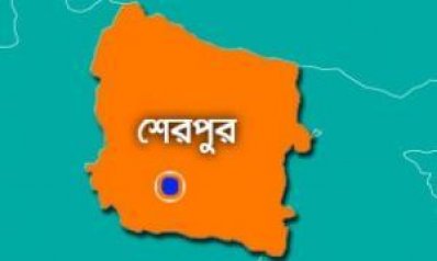 শেরপুর