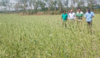 টর্নেডোতে জীবননগরের চার গ্রাম লণ্ডভণ্ড, আহত ৩০