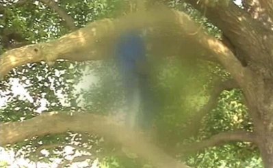 এক ঝুলন্ত মৃতদেহ ও ২৩ পাতার সুইসাইড নোট নিয়ে রহস্য