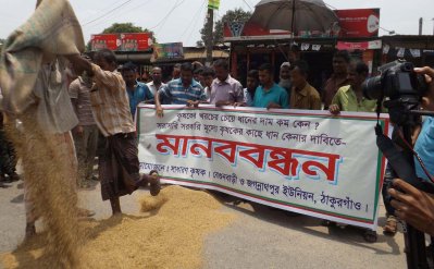 রাস্তায় ধান ফেলে ঠাকুরগাঁওয়ে কৃষকদের বিক্ষোভ