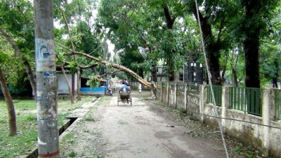 পঞ্চগড়ে ঝড় ও শিলা বৃষ্টিতে ক্ষয়ক্ষতির চিত্র