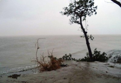 রোয়ানু কবলিত নোয়াখালীর উপকূল এলাকা