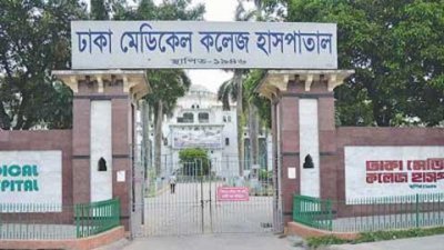 ঢামেক