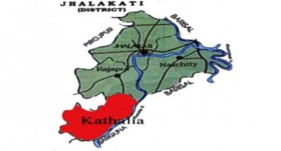 কাঠালিয়া উপজেলা