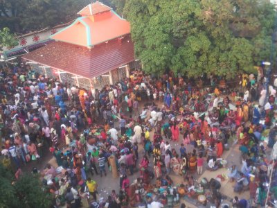 লোকনাথ ব্রহ্মচারীর তিরোধান দিবস উদযাপনে জনসমাগম