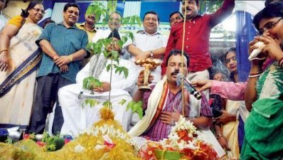 নিম ও ইউক্যালিপ্টাসের বিয়ে