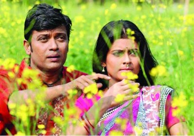 লাল চর।