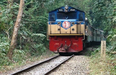 লাউয়াছড়া বনের রেললাইন ধরে চলেছে ট্রেন