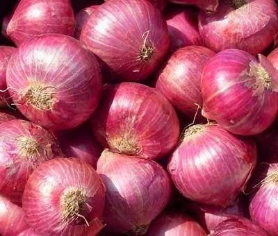 পেঁয়াজ