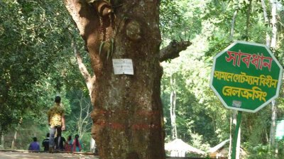 লাউয়াছড়া-উদ্যান