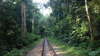 লাউয়াছড়ার মধ্য দিয়ে রেললাইন