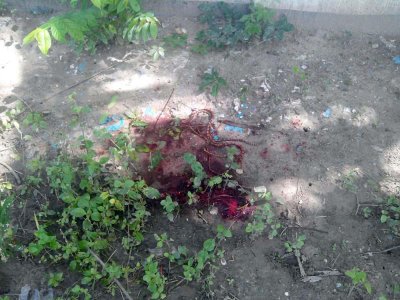 গোসাঁই শ্যামানন্দ দাসকে কুপিয়ে হত্যা