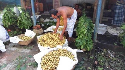 লটকনের আড়ত 