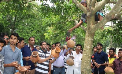 গাছে গাছে মাটির পাত্র, পাখির অভয়াশ্রম হলো উপজেলা পরিষদ চত্বর