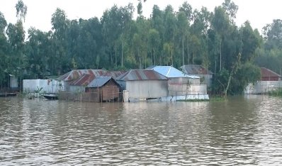 ‘কেমন করি বাঁচি থাকবো জানি না’
