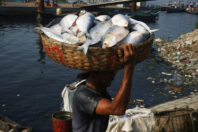 সদ্য ধরা টাটকা আমছ পাবেন ঢাকার আশেপাশের বাজারেই 
