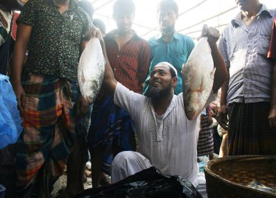 আড়তে চলছে মাছ বিক্রি 
