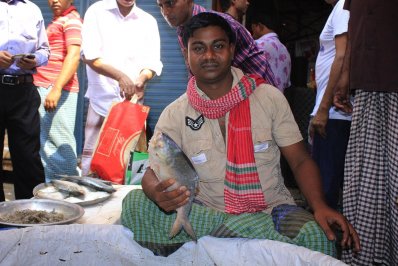চলছে মাছ বিক্রি 