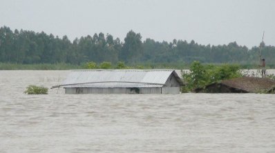 গাইবান্ধায় বন্য পরিস্থিতির আরও অবনতি