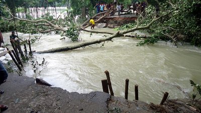 জামালপুরে বন্যা