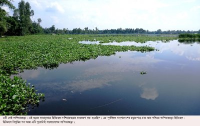 এই সেই দাশিয়ারছড়া