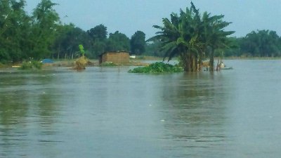 নীলফামারীতে কমেনি তিস্তার জল, বন্যা পরিস্থিতি অপরিবর্তিত