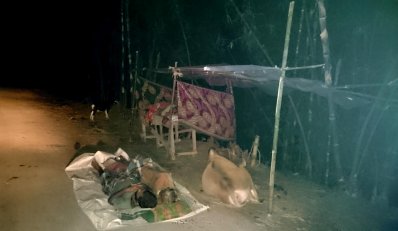 কুড়িগ্রামে বন্যা পরিস্থিতির শোচনীয়তা, পশু আর মানুষ  একসঙ্গে