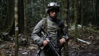 কলম্বিয়ার জঙ্গলে কোকেইনবিরোধী অভিযান-৬