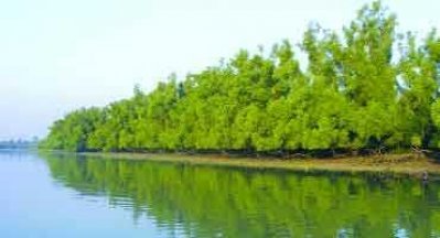 সুন্দরবনে অপারেশন ‘পাইরেটস হান্ট’ শুরু